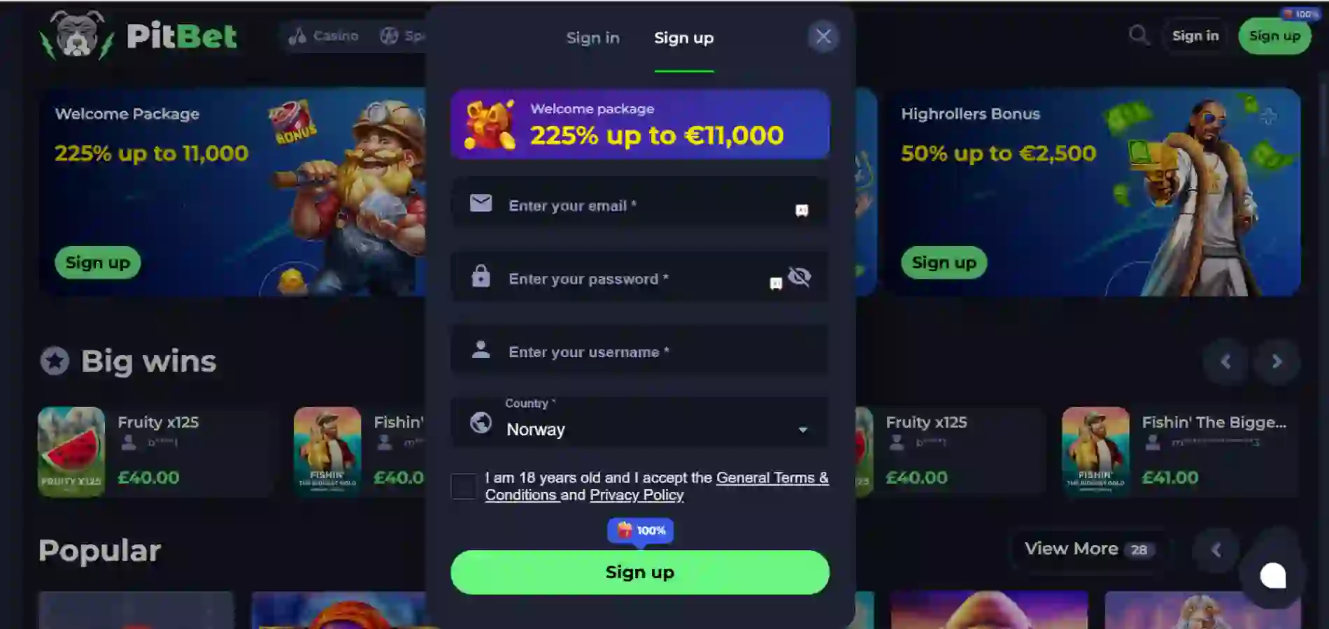 PitBet Casino sin hjemmeside med registreringsskjema synlig i midten av skjermen